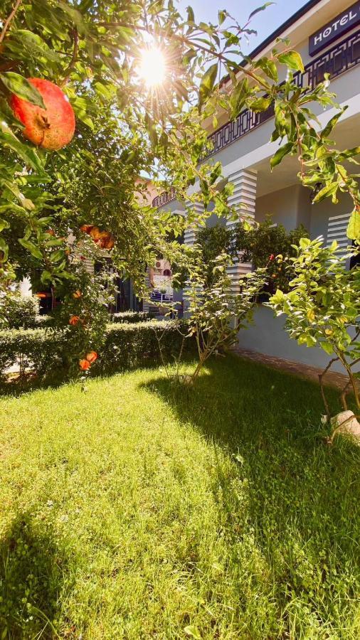 Antigone 3* Тирана